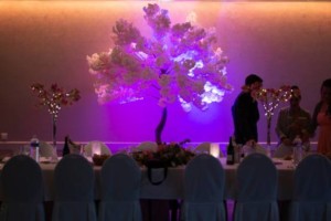 cerisier japonais déco